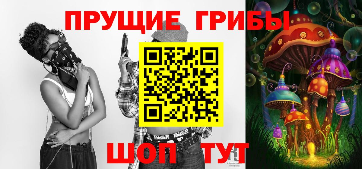 Анжеро-Судженск  Галлюциногенные грибы Psilocybe  Псилоцибиновые грибы Psilocybine cubensis  Вход с VPN 
